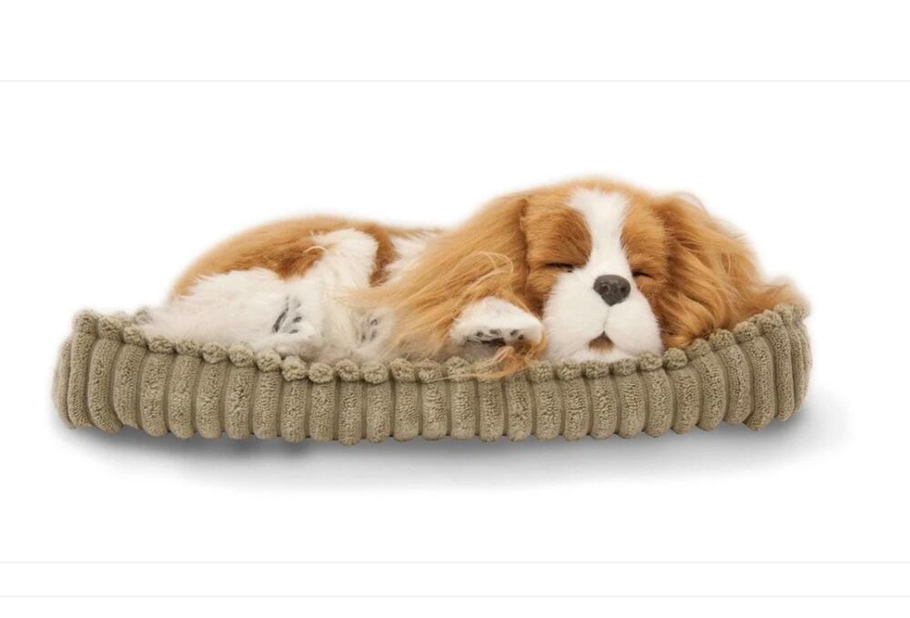 Perfect Petzzz Breathing Dog Puppy Model Cavalier King Charles 2021 Brown White